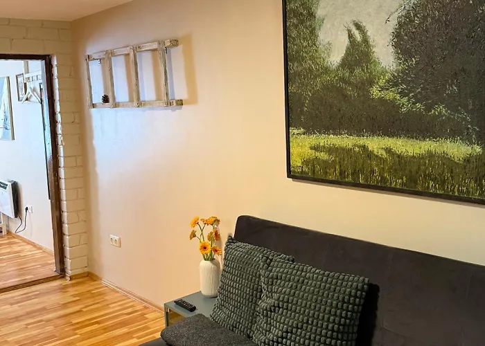 Little House Apartament Kowno